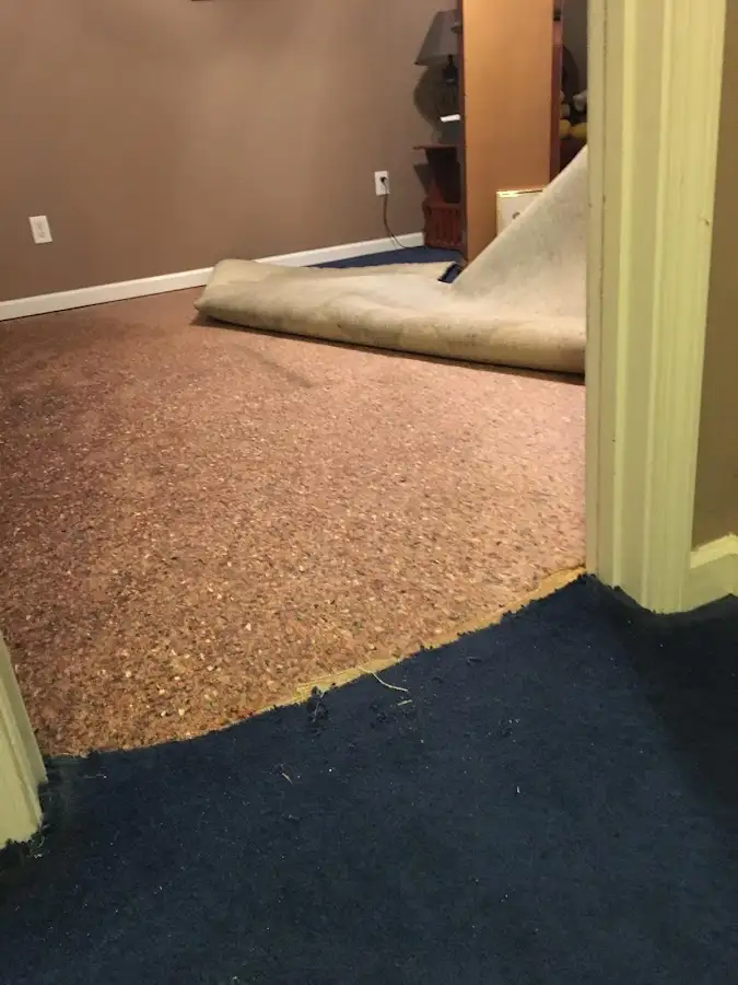 Carpet pad removal revealing water damage during Drying & Dehumidification in Fort Pierce